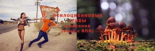 соль ск Абаза