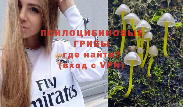 2c-b Алзамай