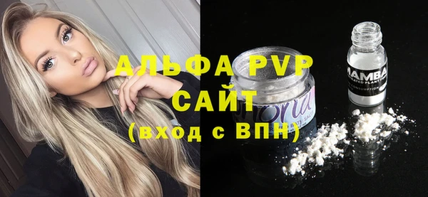 амф Алексин