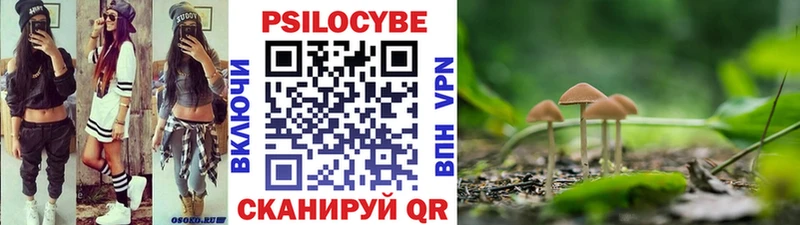 площадка состав  Алексеевка  Псилоцибиновые грибы Magic Shrooms 