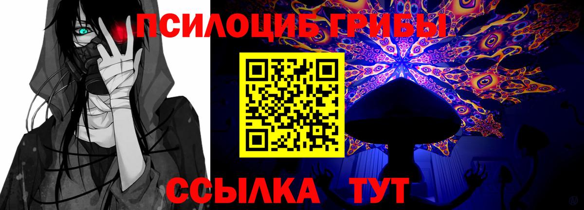 Алексеевка  Псилоцибиновые грибы GOLDEN TEACHER  Вход с VPN 