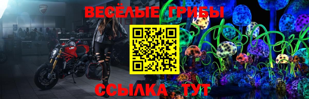 Галлюциногенные грибы прущие грибы Алексеевка